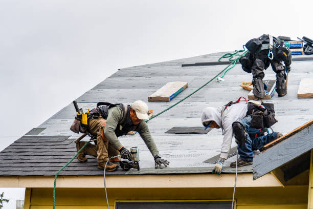 Professional Flat Roof Repair technician working in Traphill, NC